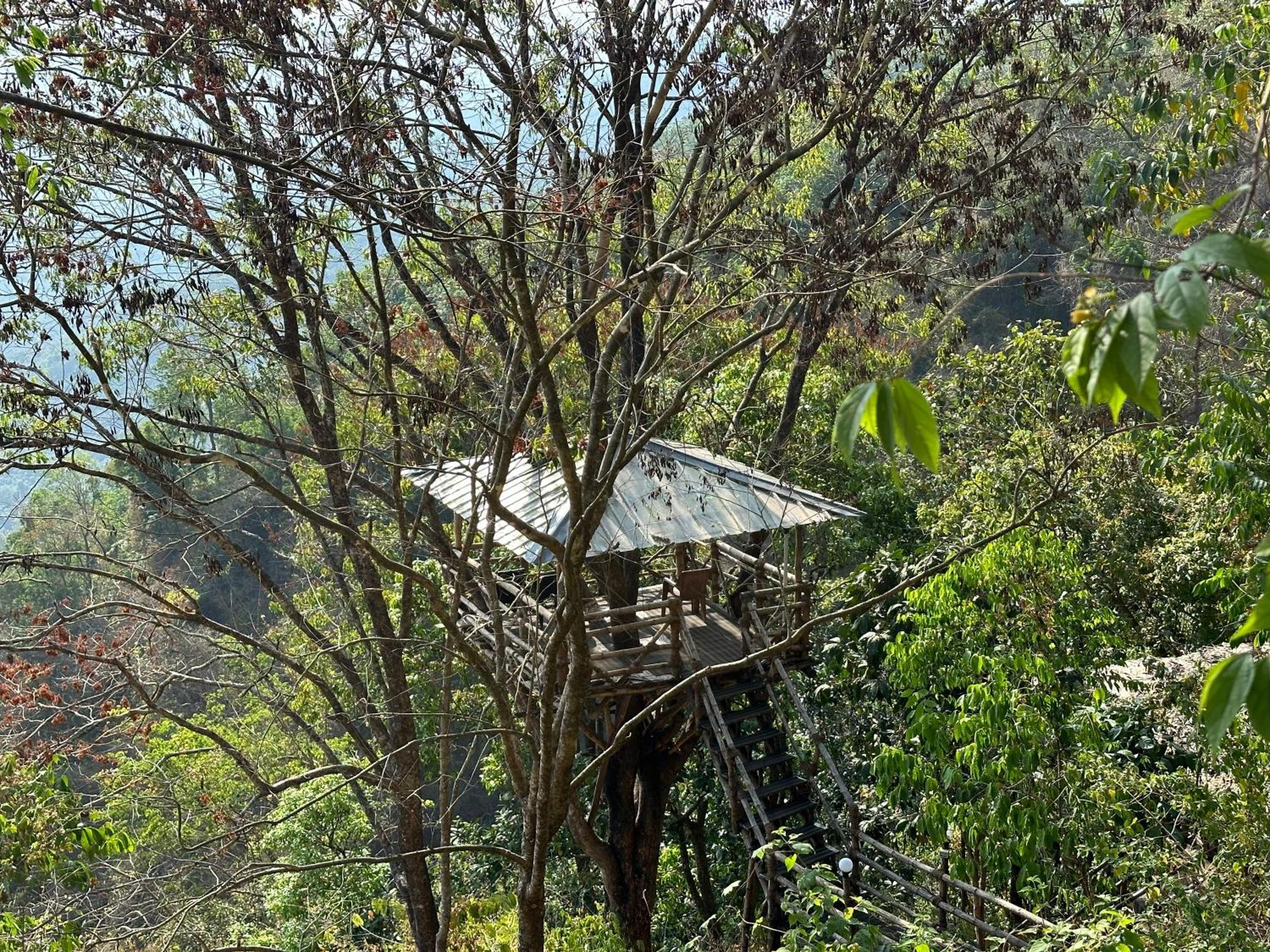 Sunset Valley Kerala Pool Resort - Serene Natural Forest Cottage Stay In Idukki With Sunrise & Sunset Panoramas, Natural Streams & Tranquil Summer Evenings Pirmed ภายนอก รูปภาพ
