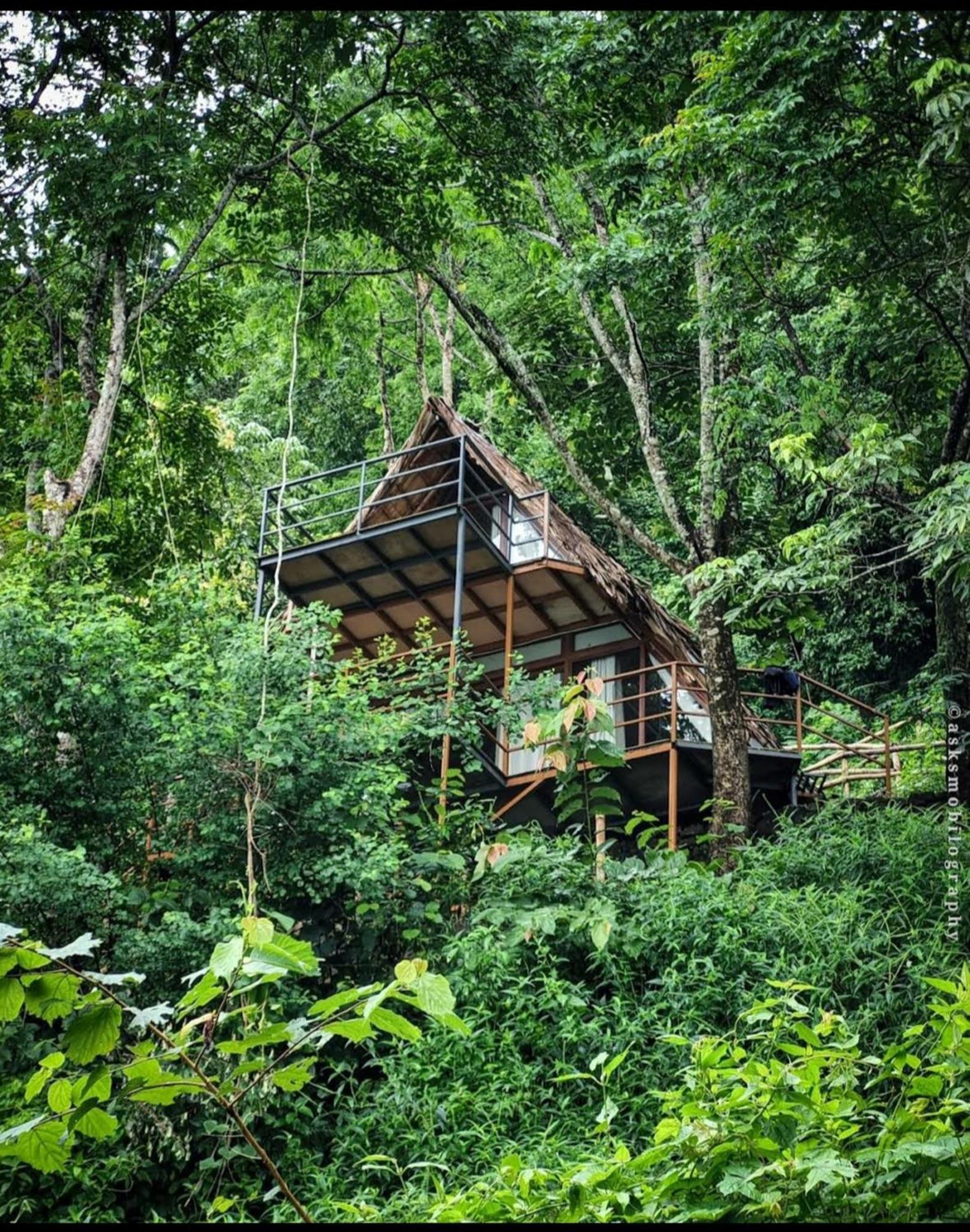 Sunset Valley Kerala Pool Resort - Serene Natural Forest Cottage Stay In Idukki With Sunrise & Sunset Panoramas, Natural Streams & Tranquil Summer Evenings Pirmed ภายนอก รูปภาพ