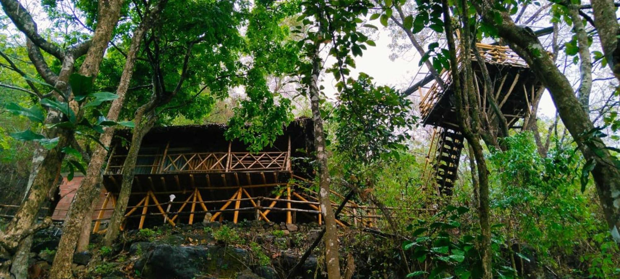 Sunset Valley Kerala Pool Resort - Serene Natural Forest Cottage Stay In Idukki With Sunrise & Sunset Panoramas, Natural Streams & Tranquil Summer Evenings Pirmed ภายนอก รูปภาพ